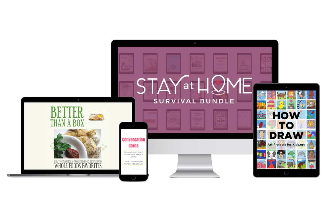 Stay at Home Survival Bundle